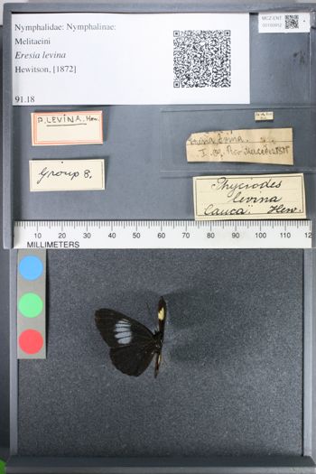 Media type: image;   Entomology 100912
